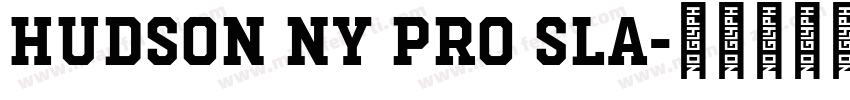 Hudson NY Pro Sla字体转换